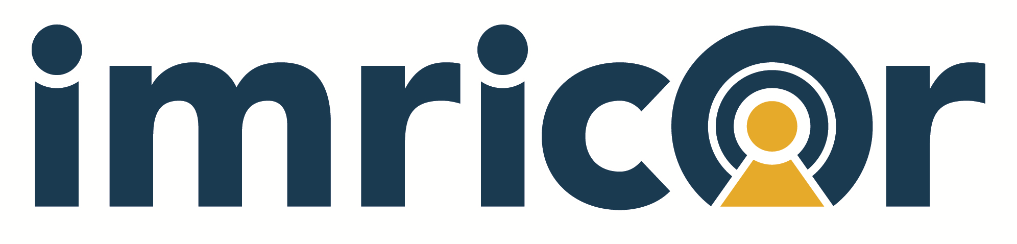 Imricor Medical Systems